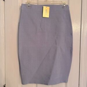 Hera Collection gray spandex skirt NWT S